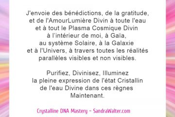 DÉCRET D’ACTIVATION DE L’ADN