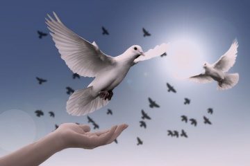 Au lieu de s’en prendre à ce monde ou d’autres, ne serait-il pas préférable de l’aimer, confinement ou pas ?