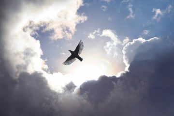 LA LIBERTÉ SOUS CONTRAINTE