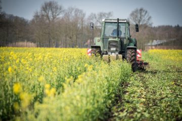 « Des bras pour ton assiette », le site qui aide les agriculteurs à trouver de la main d’oeuvre