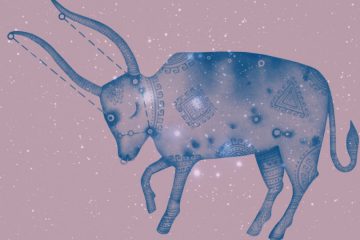 LA SAISON DU TAUREAU 2020 LA SAISON DU TAUREAU 2020