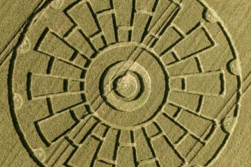 Crop circle 31 Mai 2020 Dorset UK : un calendrier annonçant nos arrivées massives sur votre Terre