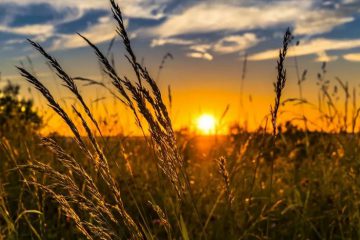 LES TRANSFORMATIONS DU SOLSTICE ONT COMMENCÉ