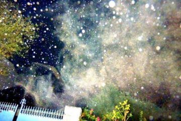 Préparez-vous pour un mois d’août de folie, plein d’éveils et de vérités…