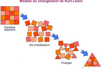 COMMENT CRISTALLISER LE CHANGEMENT