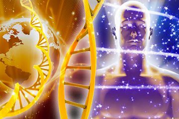 2020 EST L’ANNÉE DE L’ASCENSION PHYSIQUE