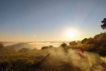 METEO ENERGETIQUE – Libre et sans attaches