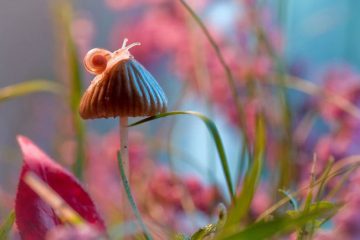 METEO ENERGETIQUE – Permettez-vous de revivre le merveilleux de ce monde METEO ENERGETIQUE – Permettez-vous de revivre le merveilleux de ce monde