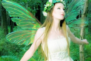 Le Conseil Arcturien 9D : Le royaume des fées, la Lémurie et votre Ascension