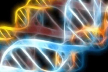 NOUS UNISSONS NOS INDIVIDUALITÉS À CELLES DE NOTRE FAMILLE D’ÂMES NOUS UNISSONS NOS INDIVIDUALITÉS À CELLES DE NOTRE FAMILLE D’ÂMES