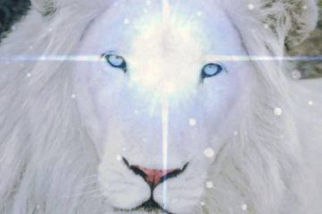 LA PORTE DU LION – L’autonomisation solaire LA PORTE DU LION – L’autonomisation solaire