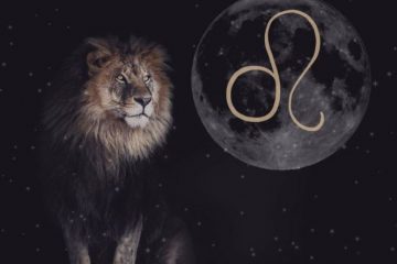 NOUVELLE LUNE DU LION AOÛT 2020 NOUVELLE LUNE DU LION AOÛT 2020