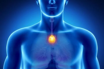 Comment renforcer notre système immunitaire spirituel