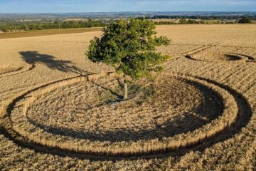 CROP CIRCLE DU 4 AOÛT 2020