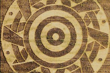 CROP CIRCLE 26 JUILLET 2020