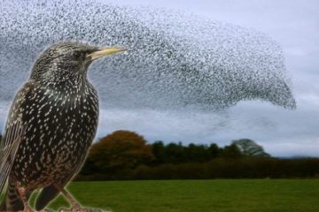 Transformation de la réalité 3D en 5D