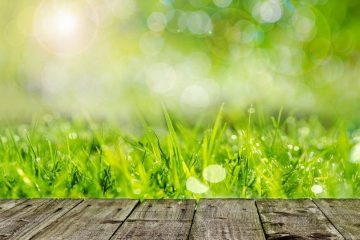 METEO ENERGETIQUE – Enthousiasme et joie METEO ENERGETIQUE – Enthousiasme et joie