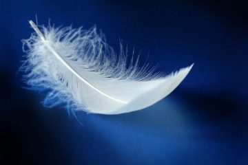 LES MESSAGES SILENCIEUX D’UN ANGE GARDIEN
