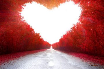 Si vous cherchez l’amour, vous verrez l’amour, car c’est votre nature la plus profonde et la plus vraie