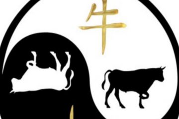 Horoscope chinois 2021- Bœuf de métal Horoscope chinois 2021- Bœuf de métal