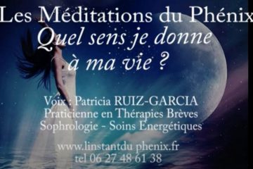 MÉDITATION DU PHOÉNIX