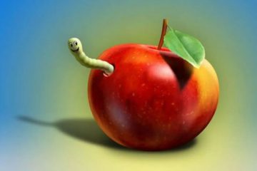 Ne vous laissez pas piéger par la basse vibration du petit ver ! Ne vous laissez pas piéger par la basse vibration du petit ver !