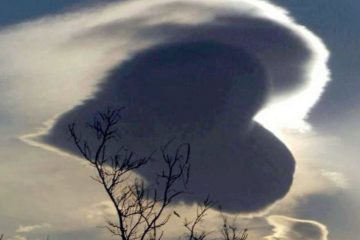 IL Y AURA DES SIGNES DANS LE CIEL… IL Y AURA DES SIGNES DANS LE CIEL…