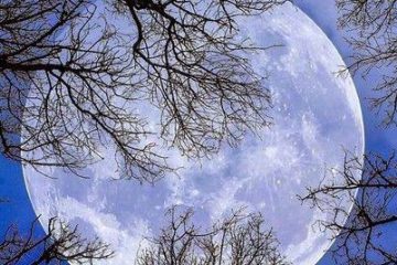 La Pleine lune en Cancer le 30 décembre