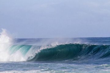 LES VAGUES NE PEUVENT PAS VOUS RENVERSER