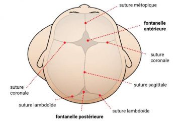 Les variations thermiques liées à la lumière entraînent des douleurs diverses et variées
