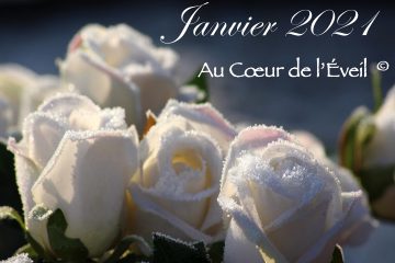 JANVIER 2021 – LE CHEMIN – Qu’est-ce qui nous attend ? Quelles sont les possibilités ?