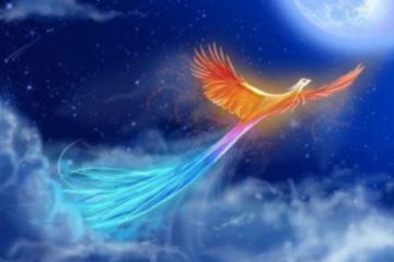 LA RAISON ET LA PASSION SONT LE GOUVERNAIL ET LES VOILES DE VOTRE AME DE MARIN LA RAISON ET LA PASSION SONT LE GOUVERNAIL ET LES VOILES DE VOTRE AME DE MARIN
