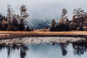 METEO ENERGETIQUE – Sacrifiez ce qui vous empêche d’aller de l’avant !