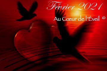 FEVRIER 2021 – LE CHEMIN – Qu’est-ce qui nous attend ? Quelles sont les possibilités ?