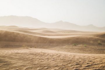 Vous traversez un vent d’énergies déstabilisantes Vous traversez un vent d’énergies déstabilisantes