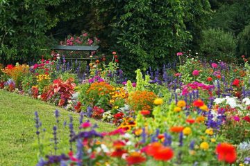 COMMENT METTRE DE L’HARMONIE DANS LE JARDIN… ET DANS LA VIE ? COMMENT METTRE DE L’HARMONIE DANS LE JARDIN… ET DANS LA VIE ?
