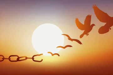 Il est temps pour vous de décider où vous voulez être dans votre nouveau monde Il est temps pour vous de décider où vous voulez être dans votre nouveau monde