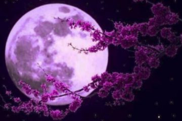 La Pleine Lune du 28 mars 2021 selon MAUD