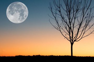 MESSAGE DE L’UNIVERS DU 28 MARS – Pleine Lune en Balance 8° MESSAGE DE L’UNIVERS DU 28 MARS – Pleine Lune en Balance 8°