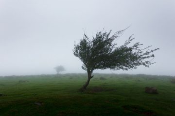 LE VENT DE LA VÉRITÉ BALAYE TOUT