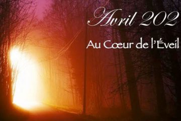 LE CHEMIN – Qu’est-ce qui nous attend ? Quelles sont les possibilités ?