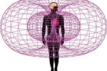 LES ONDES SCALAIRES ET L’ACTIVATION DU DOUBLE TORE LES ONDES SCALAIRES ET L’ACTIVATION DU DOUBLE TORE