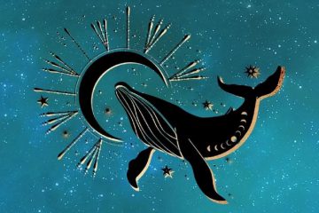 Nouvelle Lune en Poisson le 13 mars 2021 – Fin de cycle karmique et renouveau… Nouvelle Lune en Poisson le 13 mars 2021 – Fin de cycle karmique et renouveau…