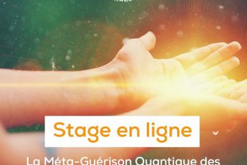 LA MÉTA–GUERISON QUANTIQUE DES LIEUX DE VIE ET DES ÊTRES HUMAINS