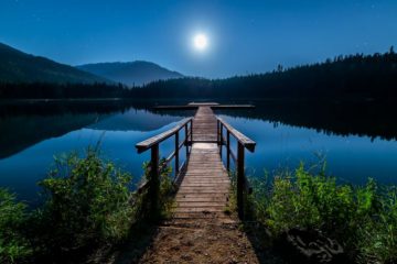 Cultiver son Jardin intérieur avec la Lune