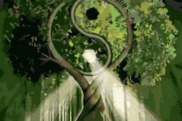 Notre Santé et notre Qualité de Vie dépendent de la façon dont nous traitons notre Yin… Notre Santé et notre Qualité de Vie dépendent de la façon dont nous traitons notre Yin…