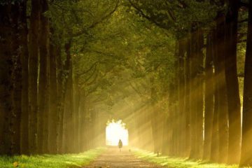 ÉCLAIREZ LE CHEMIN VERS UNE MEILLEURE LIGNE TEMPS POUR LE PLUS GRAND BIEN DE TOUS !