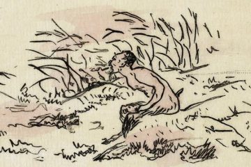 PHISORLE le faune du frêne PHISORLE le faune du frêne