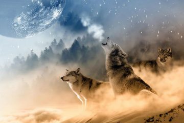 La Nouvelle Lune du 12 avril 2021