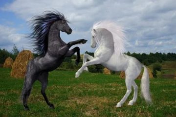 Deux réalités se chevauchent actuellement !